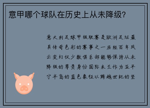 意甲哪个球队在历史上从未降级？