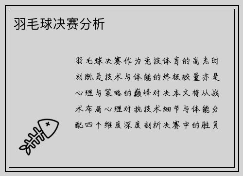 羽毛球决赛分析